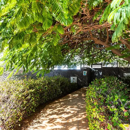 Marina Rubicon Number 4 Appartement Playa Blanca (Lanzarote)