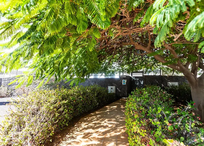 Marina Rubicon Number 4 Apartment Playa Blanca (Lanzarote)